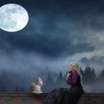 woman, cat, moonlight, fantasy, rooftop, animal, moon, blue moon, pet, blue fantasy