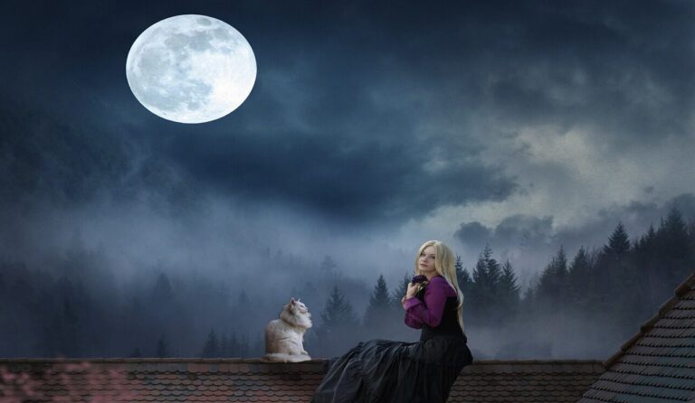 woman, cat, moonlight, fantasy, rooftop, animal, moon, blue moon, pet, blue fantasy