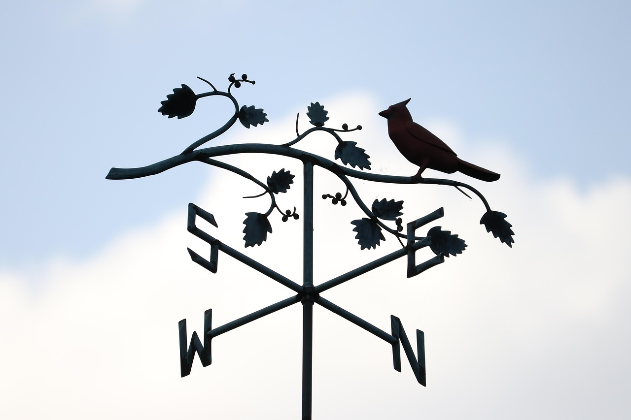 north, south, east, west, compass, discovery, navigation