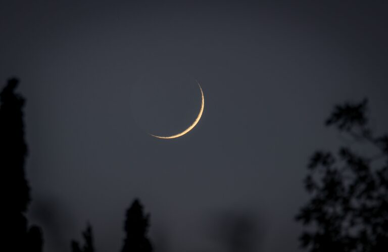Gece gökyüzünde ağaç siluetlerinin arasında görünen ince hilal.