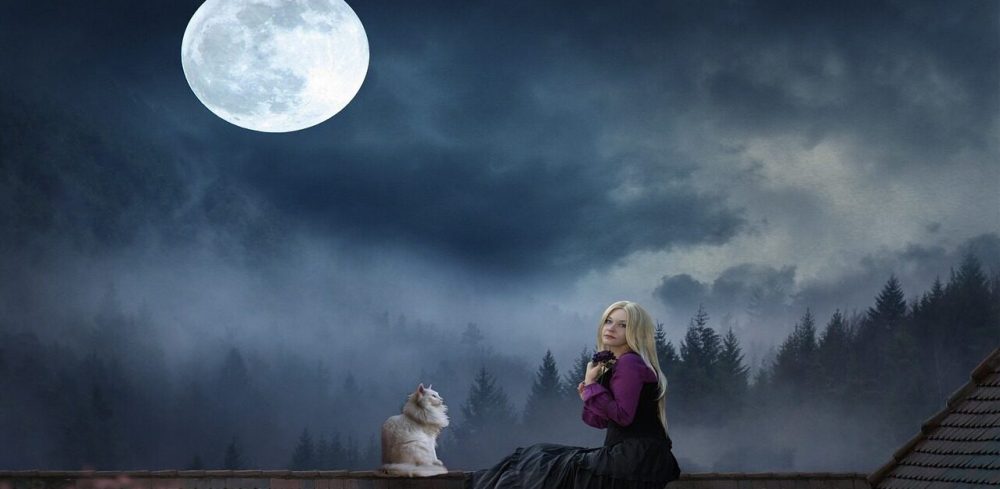 woman, cat, moonlight, fantasy, rooftop, animal, moon, blue moon, pet, blue fantasy